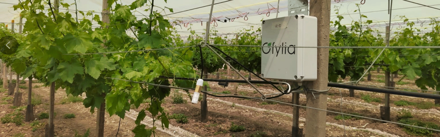 Chemical-Storage-Tanks