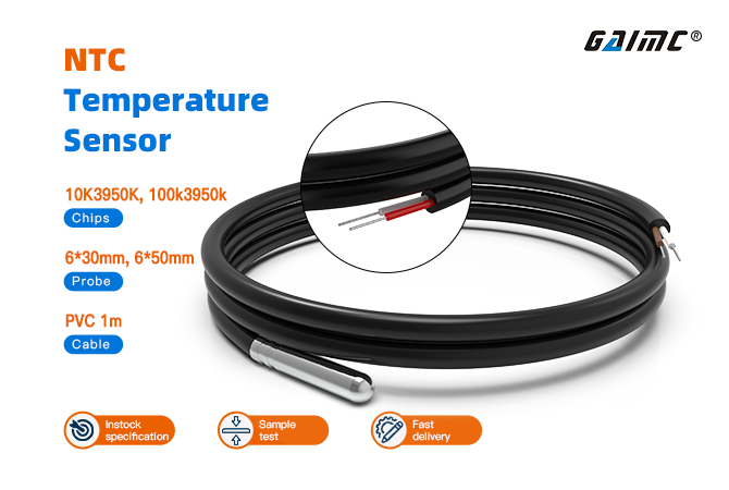 GTS100 NTC Temperature Sensor
