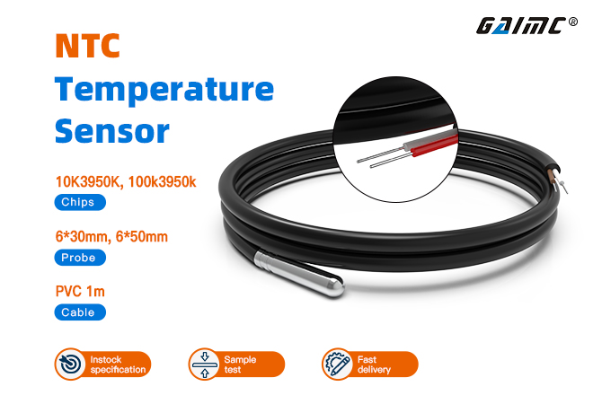GTS100 NTC Temperature Sensor