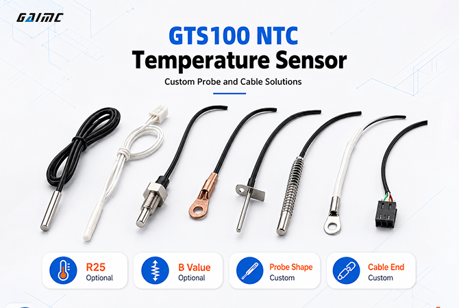 GTS100 NTC Temperature Sensor
